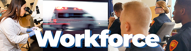 Workforce